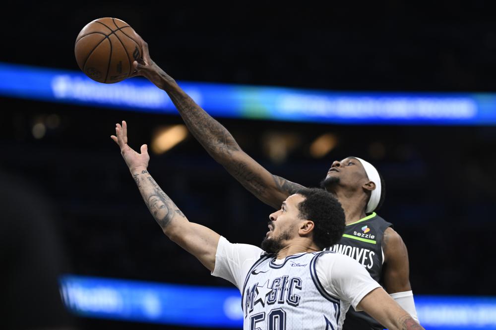 夏洛特黄蜂 夏洛特黄蜂