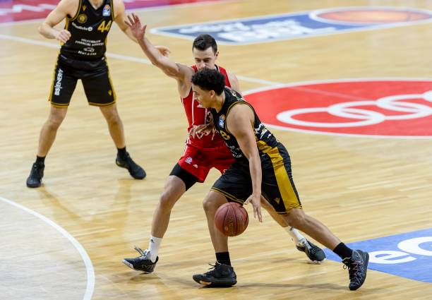 些新星提供 些新星提供