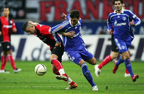 同样收获了 同样收获了