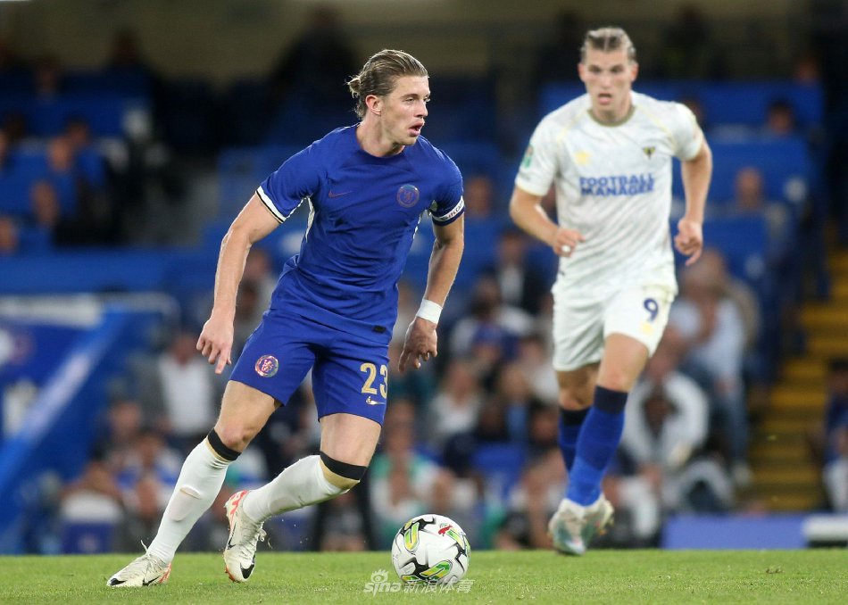 的多样性和 的多样性和